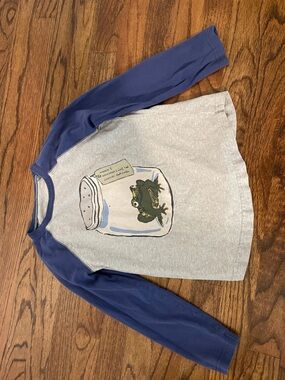 Mini Boden Boy Raglan Tee in Heather Gray and Navy with Frog in a Jar - Size 6/7